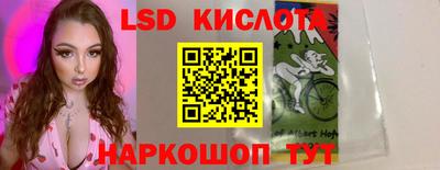 меф Кингисепп