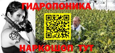 меф Кингисепп