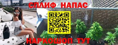 прущие крисы Кимры