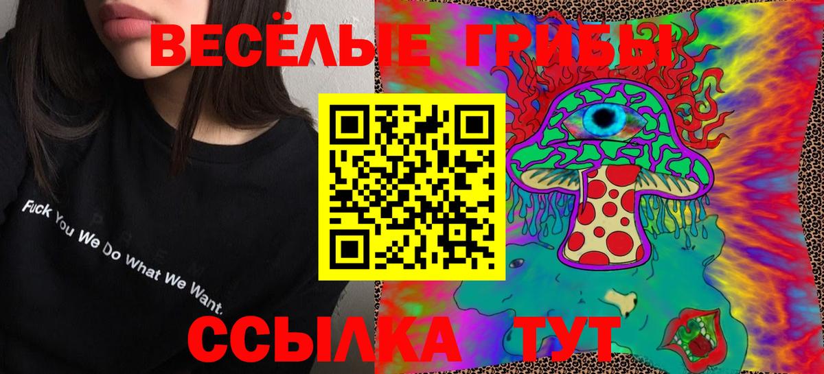 Галлюциногенные грибы мухоморы Великий Устюг